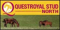 Questroyal Stud North